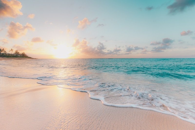 Coastal Florida landscape